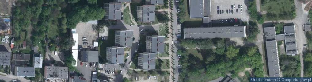 Zdjęcie satelitarne Jolanta Głośna - Działalność Gospodarcza