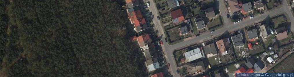 Zdjęcie satelitarne Julia Pastewska Interpretacje