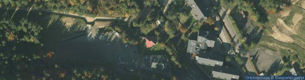 Zdjęcie satelitarne Julian Basta - Działalność Gospodarcza
