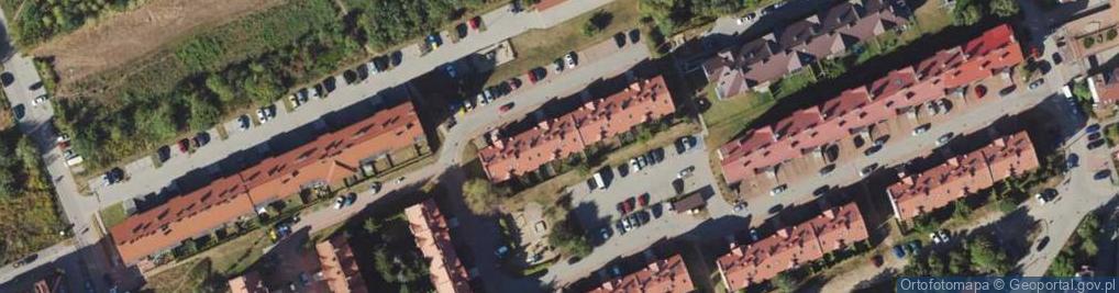 Zdjęcie satelitarne Julita Radziszewska-Fiedosiuk