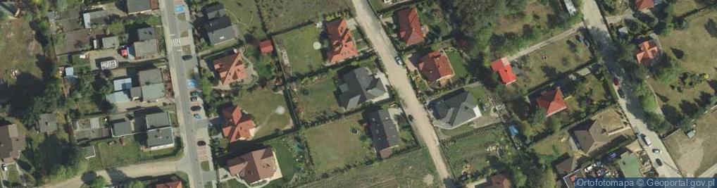 Zdjęcie satelitarne Junoro Justyna Nowak-Roszkowska