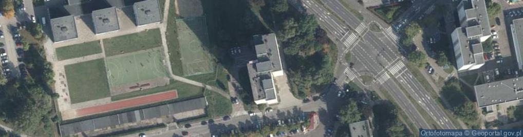 Zdjęcie satelitarne Kameleon