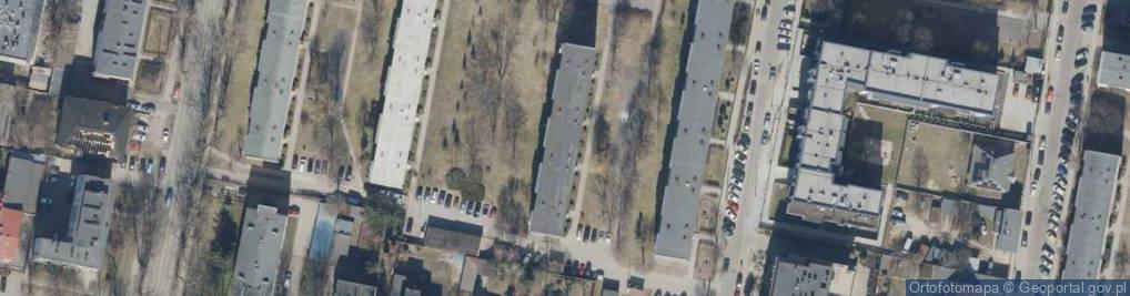Zdjęcie satelitarne Kamika Brzeziński Jakub Knyt Walas Magdalena