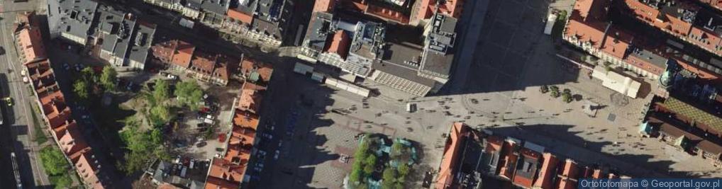 Zdjęcie satelitarne Kamila Stachów Fabryka Bukietów