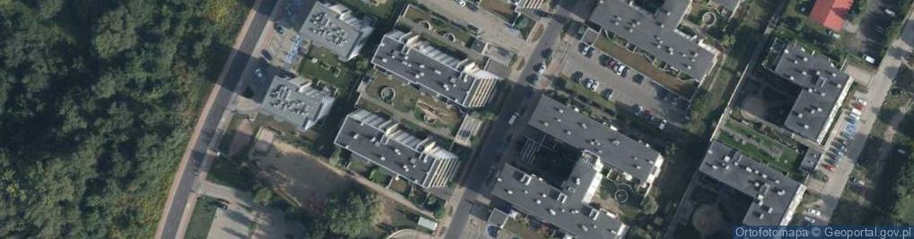 Zdjęcie satelitarne Karina Stolarczyk The Black Team