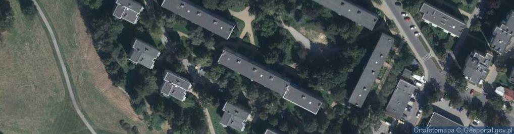 Zdjęcie satelitarne Karolina Kochaniec Technik Elektroradiolog