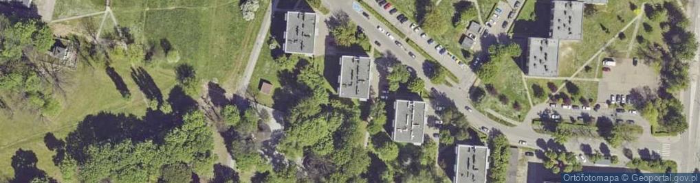 Zdjęcie satelitarne Katarzyna Dawid