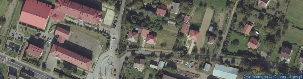Zdjęcie satelitarne Katarzyna Kozyra
