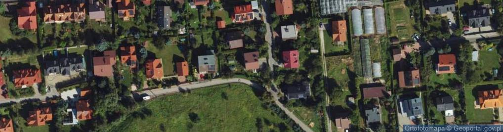 Zdjęcie satelitarne Katarzyna Martyna-Jakubowska Kwiaty i Badyle