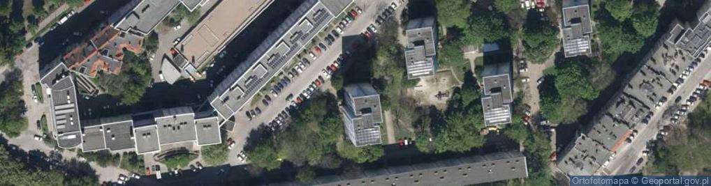 Zdjęcie satelitarne Kaya Grzybowska