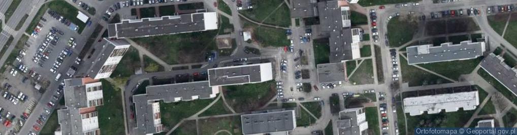 Zdjęcie satelitarne Kijak Joanna Dzieło-Usługi-Handel