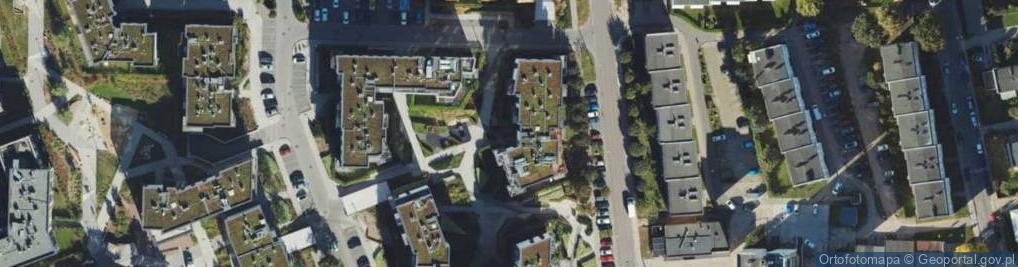 Zdjęcie satelitarne King Stone Wspólnik Spółki Jarosław Niedorozow