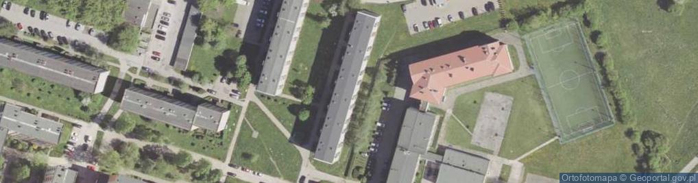 Zdjęcie satelitarne Kinga Blejsz - Działalność Gospodarcza