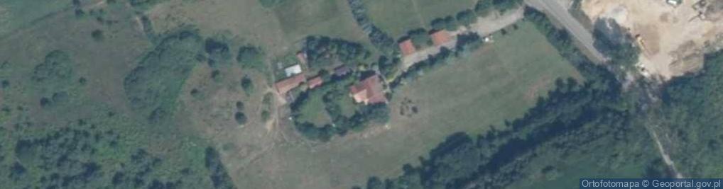 Zdjęcie satelitarne Kinga Kosmalska - Działalność Gospodarcza
