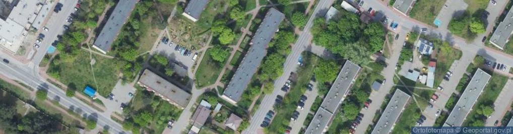 Zdjęcie satelitarne Kinga Włodarczyk