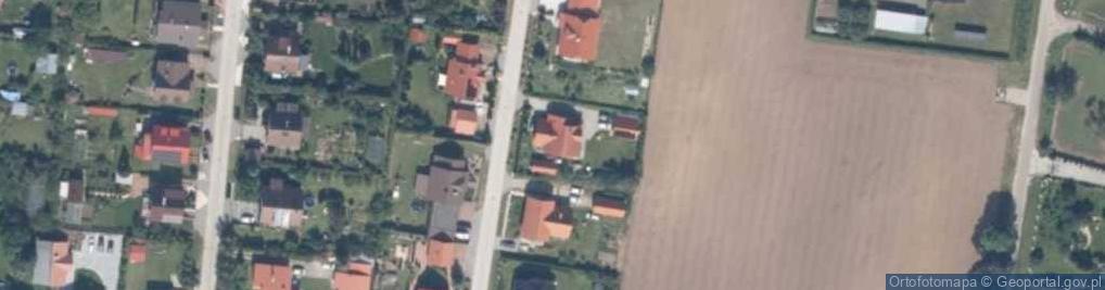 Zdjęcie satelitarne KiWi Zofia Wirkus