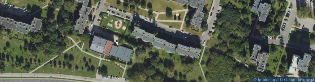 Zdjęcie satelitarne Klaudia Kolegowicz