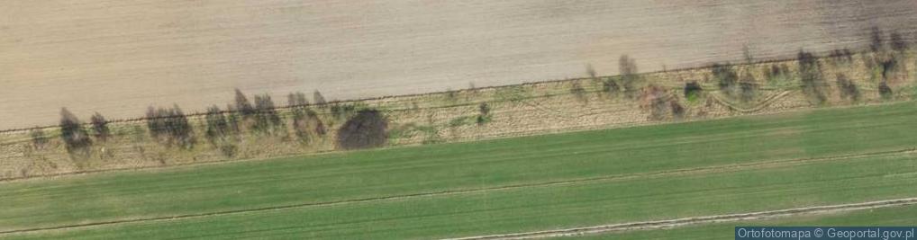 Zdjęcie satelitarne Kolumbia