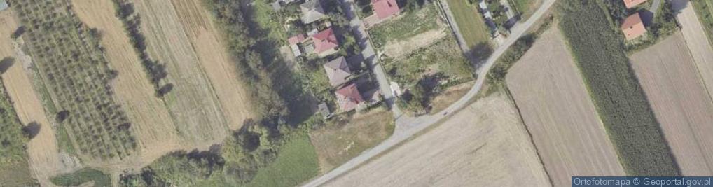 Zdjęcie satelitarne Koncesjonowany Przewóz Towarów