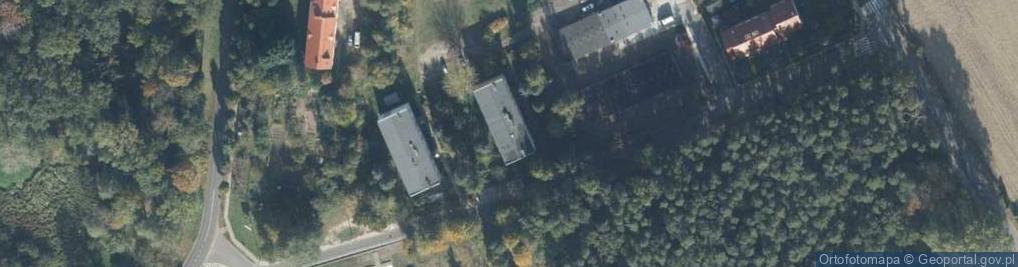 Zdjęcie satelitarne Kosiński Nikodem Dobry Ogród