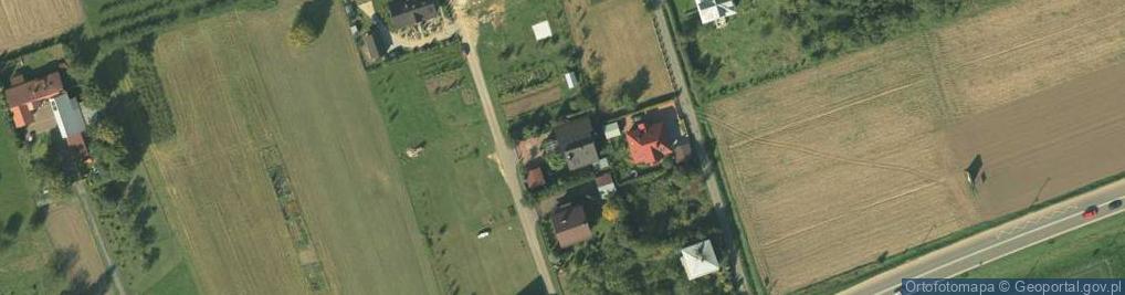 Zdjęcie satelitarne Król Edyta