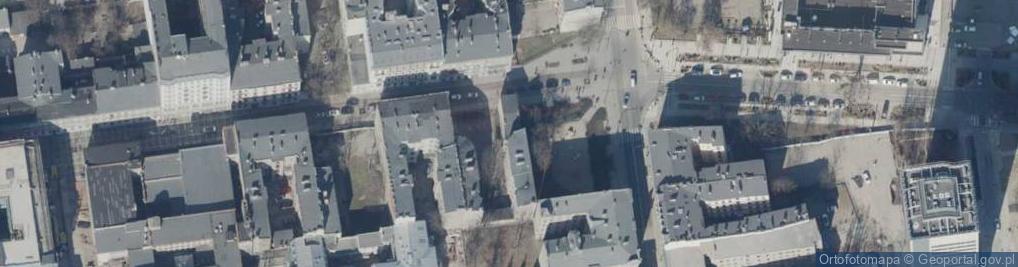 Zdjęcie satelitarne Krzak