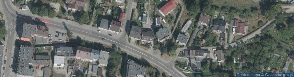 Zdjęcie satelitarne Krzewy i Drzewa Owocowe