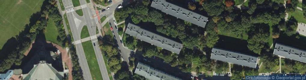 Zdjęcie satelitarne Krzysztof Bujny Malarstwo Rysunek Grafika Krzysztof Leon Bujny Paweł Aleksander Sułek