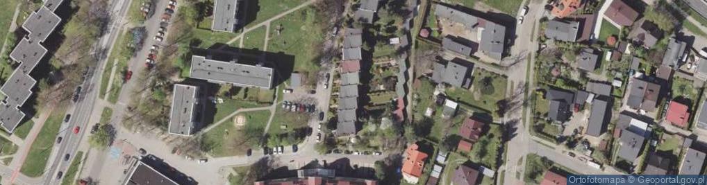 Zdjęcie satelitarne Krzyżaniak Maciej