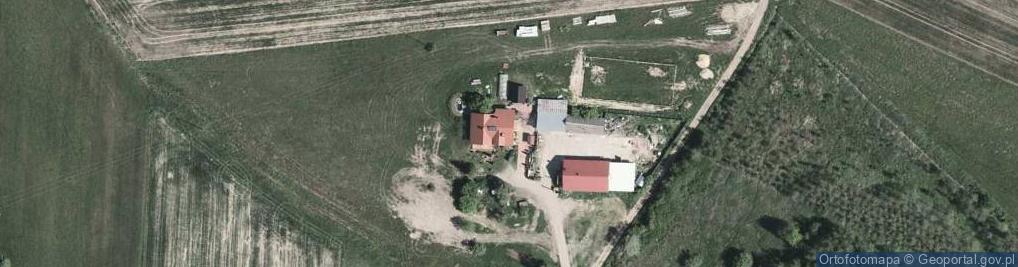 Zdjęcie satelitarne Kurczęta odchowane MACIOCHA - SPRZEDAŻ KUR