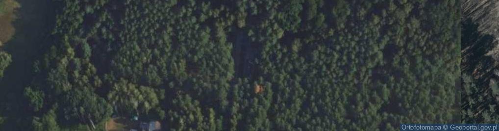 Zdjęcie satelitarne Kurowski Dariusz Eftf