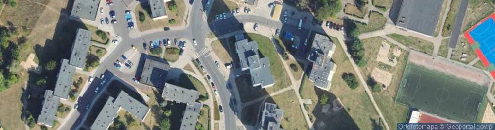 Zdjęcie satelitarne Kwiat - Went
