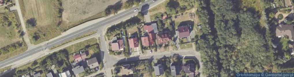 Zdjęcie satelitarne Kwiatkowski Tadeusz