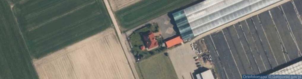 Zdjęcie satelitarne Kwiaty Polskie