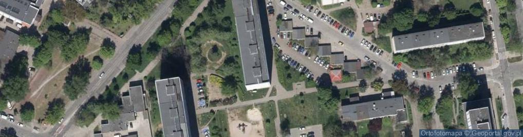 Zdjęcie satelitarne Kwiaty