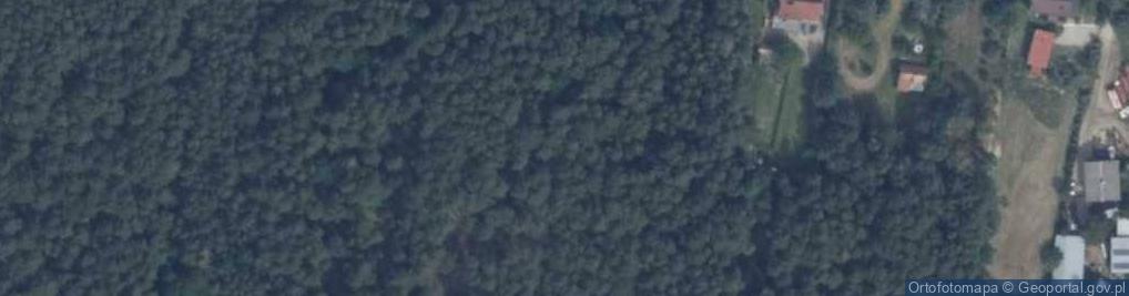 Zdjęcie satelitarne Laboratorium Chemiczno Kosmetyczne Davena Cosmetics w Rębkowie