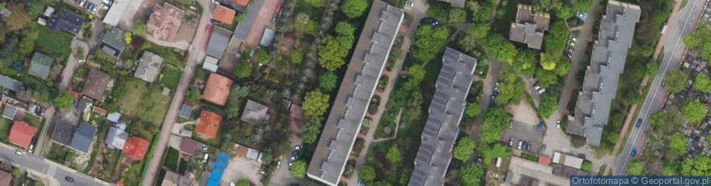 Zdjęcie satelitarne Language Beat Kamil Cywka