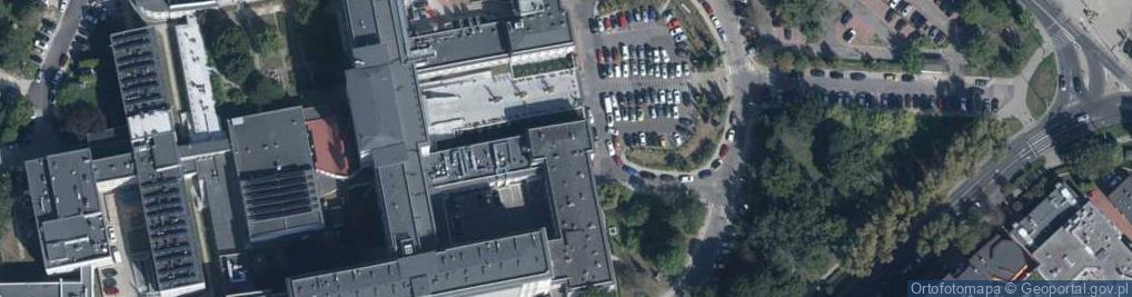 Zdjęcie satelitarne Larix Stańczak Jacek