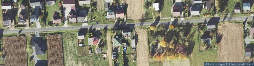 Zdjęcie satelitarne Las i Ogród Service