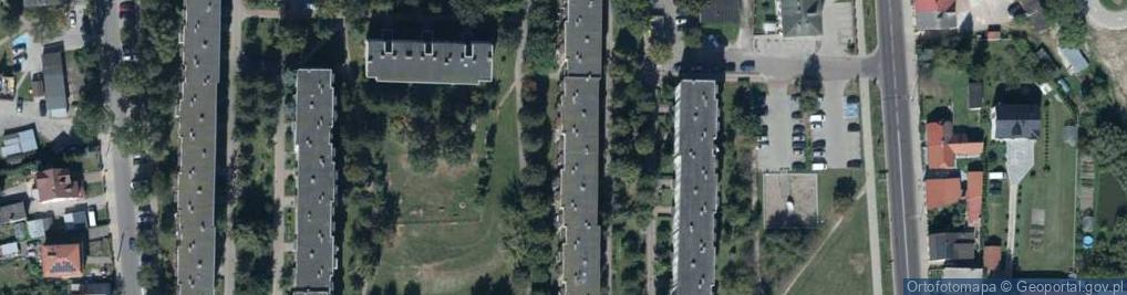 Zdjęcie satelitarne Lech Gogłuski - Działalność Gospodarcza