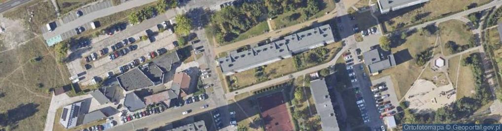 Zdjęcie satelitarne Lech Iwicki - Działalność Gospodarcza