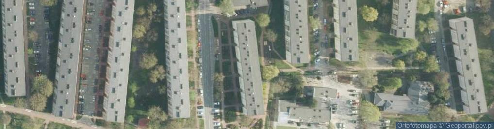 Zdjęcie satelitarne Leokadia Wiorek - Działalność Gospodarcza