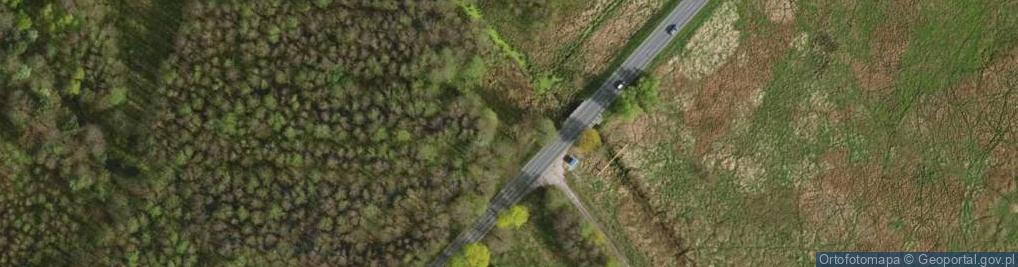 Zdjęcie satelitarne Leśna