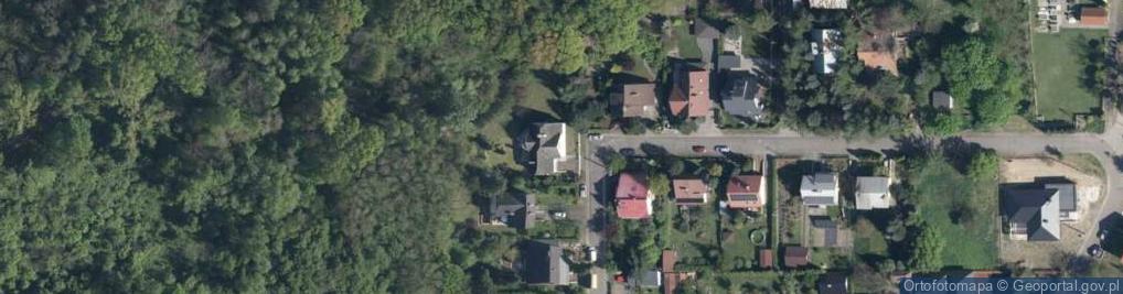 Zdjęcie satelitarne Limes