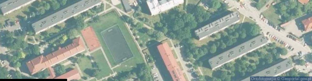 Zdjęcie satelitarne Lingo