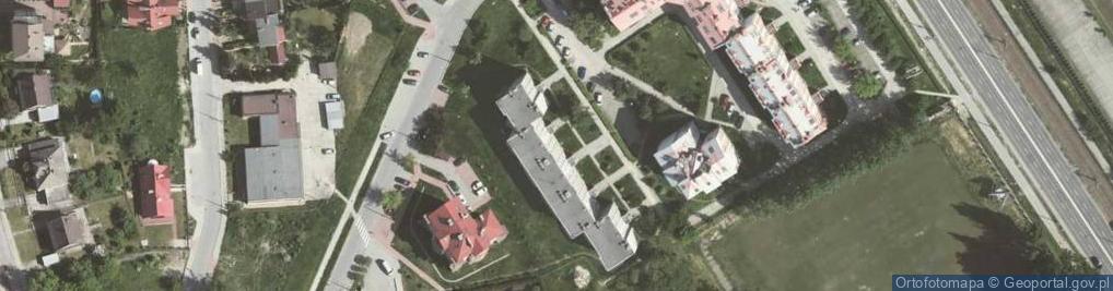 Zdjęcie satelitarne Liska