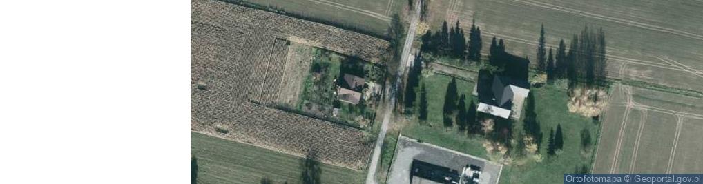 Zdjęcie satelitarne Longbit Software