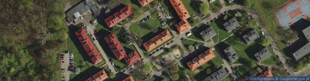 Zdjęcie satelitarne Losa Grzegorz