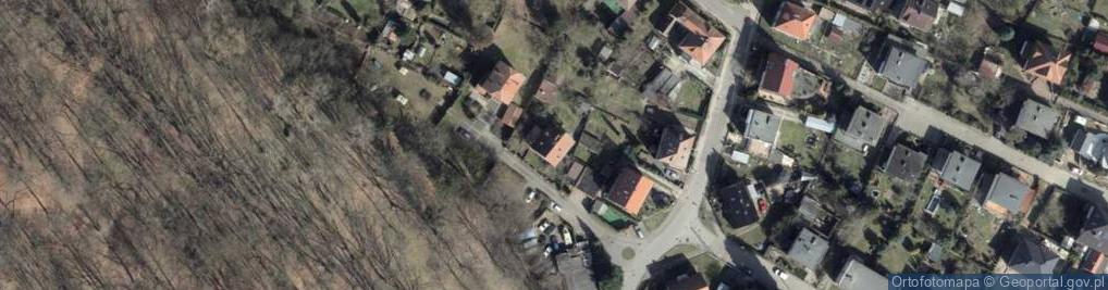 Zdjęcie satelitarne Łucja Rodziewicz - Działalność Gospodarcza