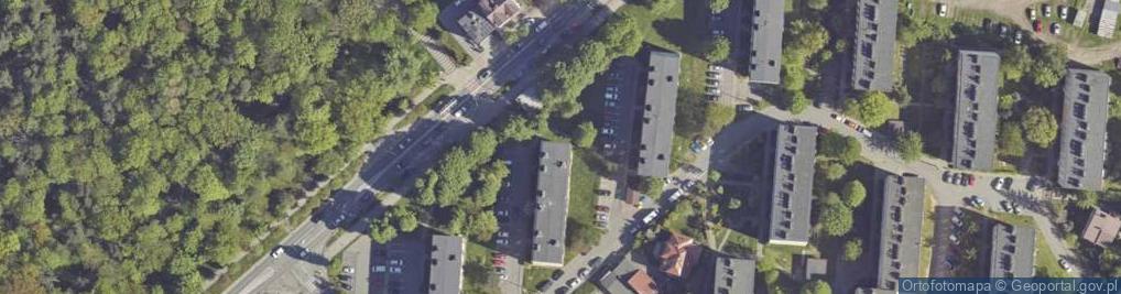 Zdjęcie satelitarne Lucyna Borek Medella